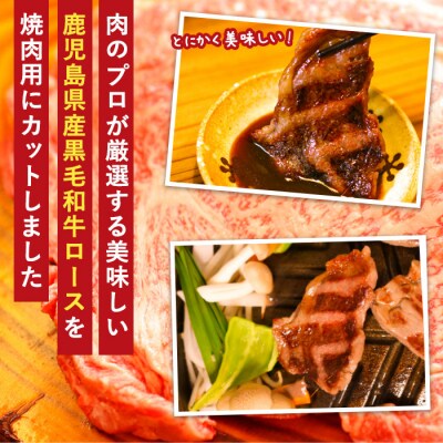 鹿児島県産黒毛和牛ロース (焼肉用カット)500g