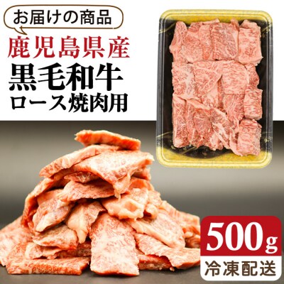 鹿児島県産黒毛和牛ロース (焼肉用カット)500g