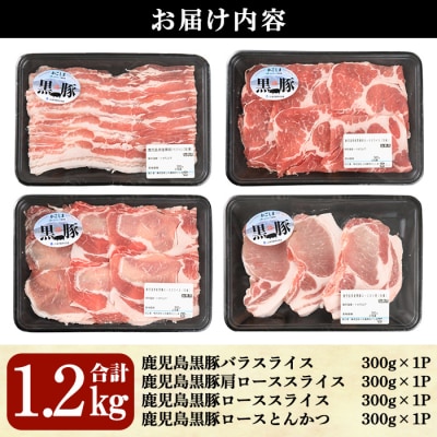 鹿児島黒豚バラエティセット【L-2101】[2]