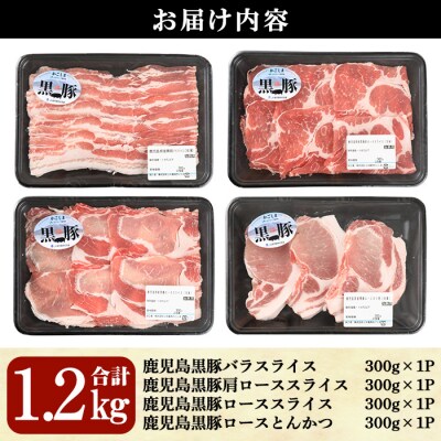 鹿児島黒豚バラエティセット【L-2101】[2]