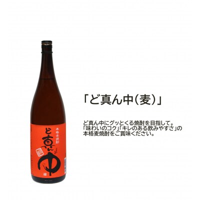 岩川醸造 麦焼酎 飲み比べ一升瓶×3 本