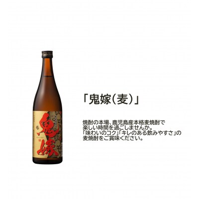 岩川醸造 麦焼酎 飲み比べ小瓶×3本