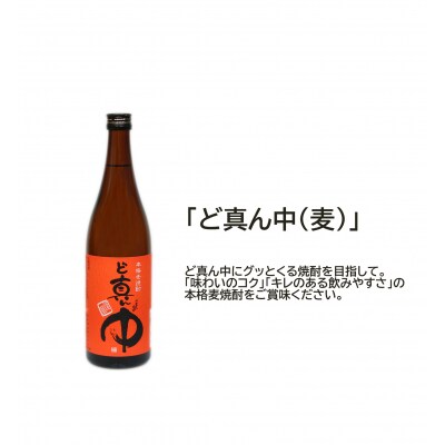 岩川醸造 麦焼酎 飲み比べ小瓶×3本