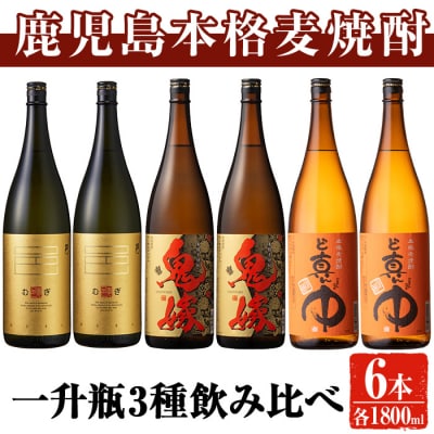 岩川醸造 麦焼酎飲み比べ1800ml×6 本