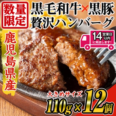 【数量限定・14営業日以内発送予定】鹿児島県産黒毛和牛×黒豚合挽ハンバーグ12個(1.3kg)