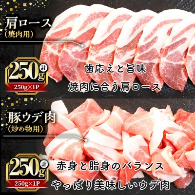 天恵美豚食べ比べセット(1.5kg)