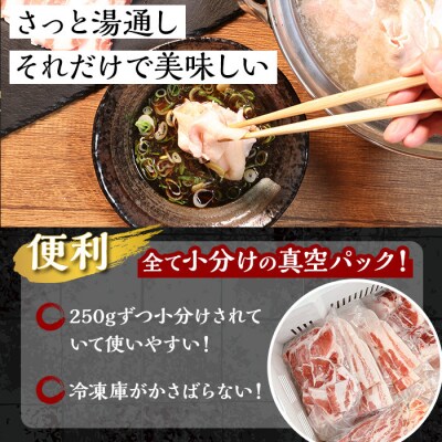 お肉のギフト　鹿児島県産豚　しゃぶしゃぶ用　バラ　ロース計1kg