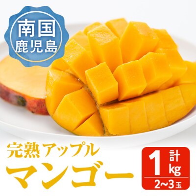 【数量限定】南国鹿児島産アップルマンゴー「紅」(約1kg!!)