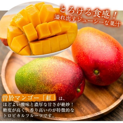 【数量限定】南国鹿児島産アップルマンゴー「紅」(約1kg!!)