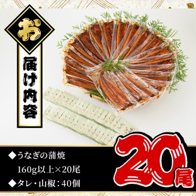無投薬!鹿児島県産うなぎ蒲焼セット<特上>(計3.2kg以上・ 約160g以上×20尾)タレ・山椒付