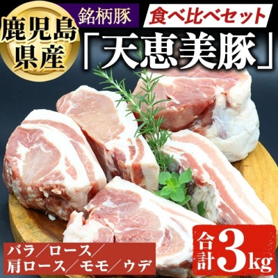 鹿児島 天恵美豚ブロックセット　合計3kg　真空パック入り