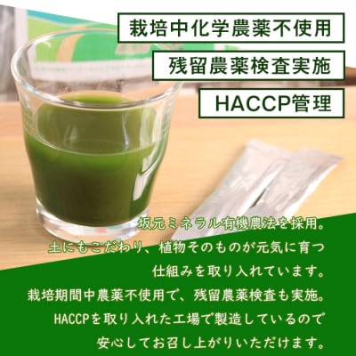  茶農家の作った素材を活かす美味しい青汁(桑)30日分