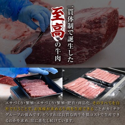 鹿児島県産黒毛和牛(A5等級)サーロインステーキスティック　計500g