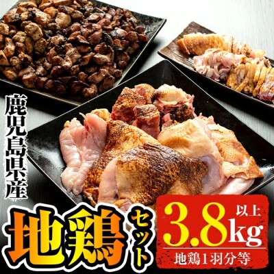 【2024年2月中に発送予定】地鶏Bセット