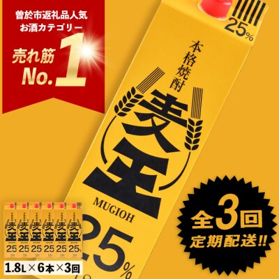 【毎月届くわくわく定期便(焼酎)】麦焼酎「麦王パック25%」1,800ml×6本　合計3回