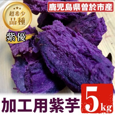【先行受付】紫芋5kg〈紫優(ムラサキマサリ)　加工用さつまいも〉