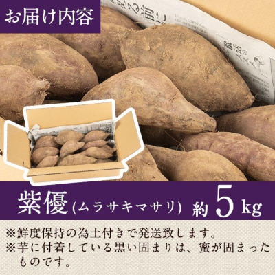 紫芋5kg〈紫優(ムラサキマサリ)　加工用さつまいも〉