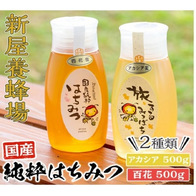 今年のイチオシはちみつ2本セット(アカシア・百花)