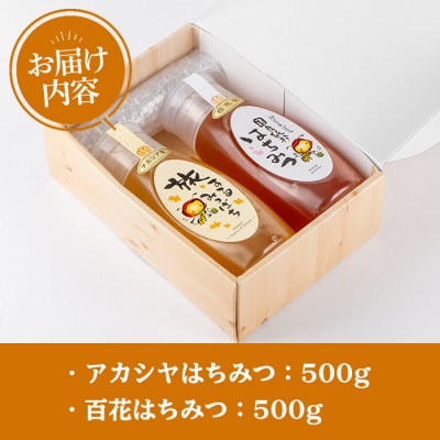 今年のイチオシはちみつ2本セット(アカシア・百花)