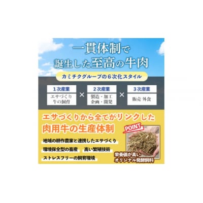 【A5等級黒毛和牛をお手軽に!】A5等級鹿児島県産黒毛和牛切落し1.75kg