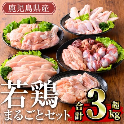  鹿児島県産若鶏まるごと 3.05kgセット