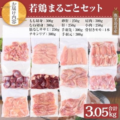  鹿児島県産若鶏まるごと 3.05kgセット