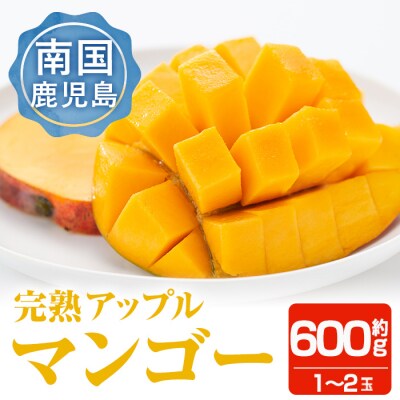 南国鹿児島産 アップルマンゴー約600g