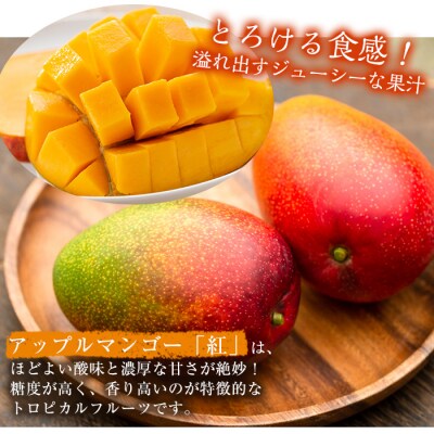 南国鹿児島産 アップルマンゴー約600g