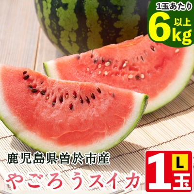 やごろうスイカ【L玉(6kg以上)×1個】