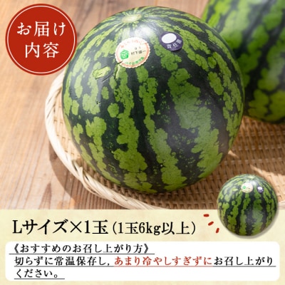やごろうスイカ【L玉(6kg以上)×1個】