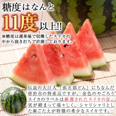 やごろうスイカ【L玉(6kg以上)×1個】