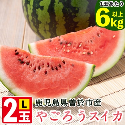  やごろうスイカ【L玉(6kg以上)×2個】