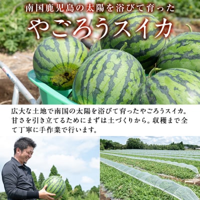  やごろうスイカ【L玉(6kg以上)×2個】