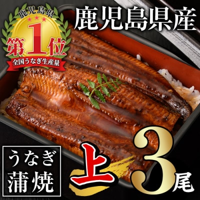 無投薬!うなぎ蒲焼セット(上・約140g以上×3尾)