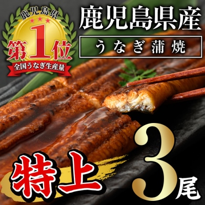 無投薬!鹿児島県産うなぎ蒲焼セット <特上>(約160g以上×3尾)タレ・山椒付き