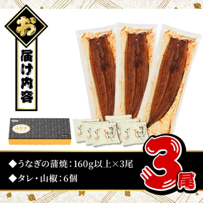 無投薬!鹿児島県産うなぎ蒲焼セット <特上>(約160g以上×3尾)タレ・山椒付き