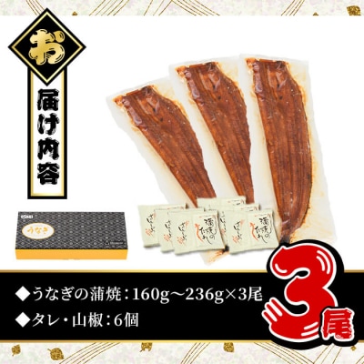 無投薬!鹿児島県産うなぎ蒲焼セット <極上>(約160～236g×3尾)タレ・山椒付き