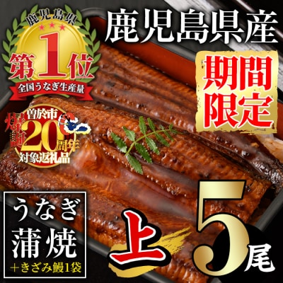 無投薬!うなぎ蒲焼セット (上・約140g以上×5尾&きざみ鰻50g)