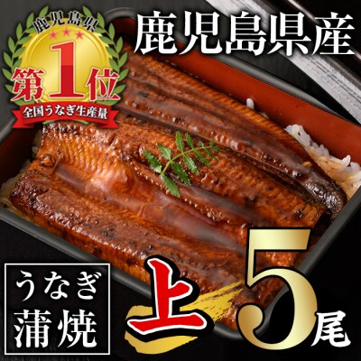 無投薬!うなぎ蒲焼セット (上・約140g以上×5尾)