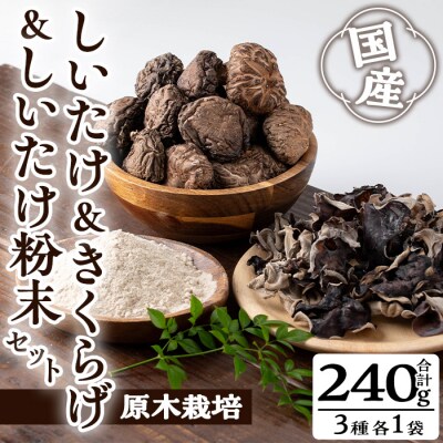  しいたけ+しいたけ粉末+きくらげセット(計240g・3種)