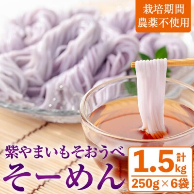 紫やまいも【そおうべ】そーめん 6個入り