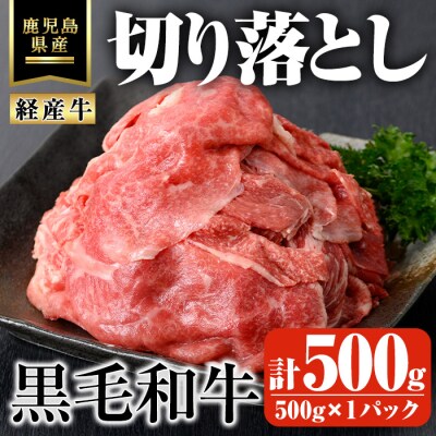 鹿児島県産黒毛和牛(経産牛)おためし切り落とし計500g