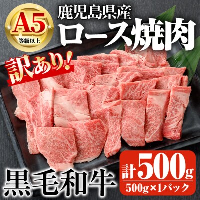 鹿児島県産A5等級以上黒毛和牛・ロース不揃い切り落とし焼肉計500g(500g×1P)