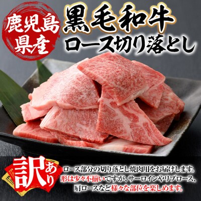 鹿児島県産A5等級以上黒毛和牛・ロース不揃い切り落とし焼肉計500g(500g×1P)