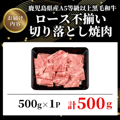 鹿児島県産A5等級以上黒毛和牛・ロース不揃い切り落とし焼肉計500g(500g×1P)