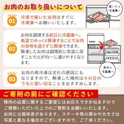 鹿児島県産A5等級以上黒毛和牛・ロース不揃い切り落とし焼肉計500g(500g×1P)