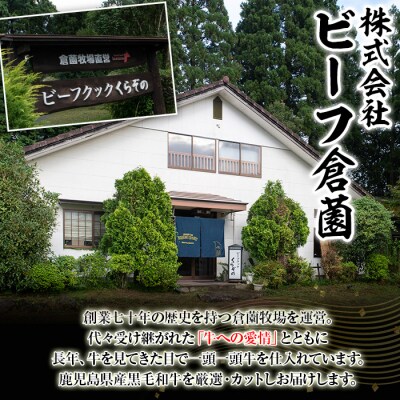 鹿児島県産A4等級以上黒毛和牛・霜降り特上サーロインステーキ計400g(200g×2枚)