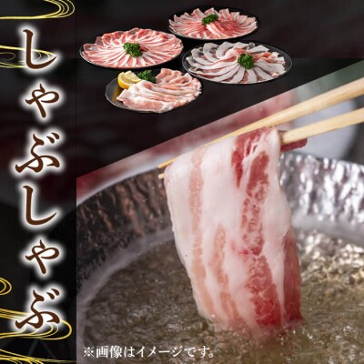 かごしま味わい黒豚　スライス　バラエティパック　1,200g