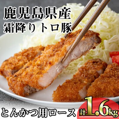 霜降りトロ豚ロースとんかつ(200g×8枚)