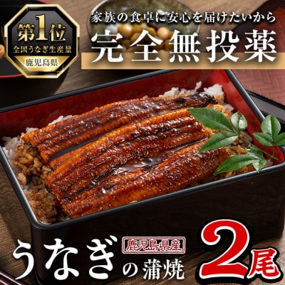 鹿児島県産うなぎ蒲焼 (1尾あたり136g〜155g×2尾、タレ・山椒付き)